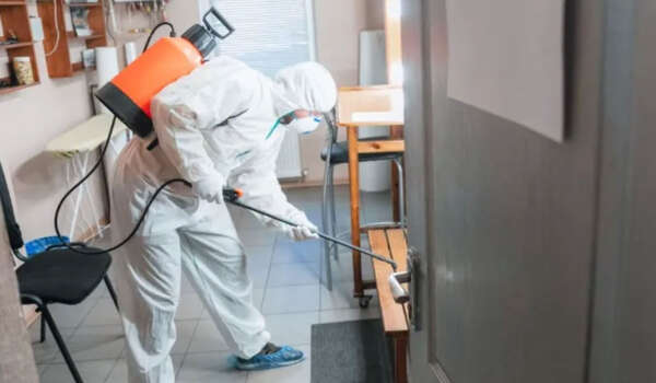 Maximizing the Power of Bed Bug Interceptors