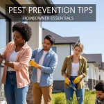 Pest Prevention Tips Every Homeowner Should Know